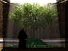 Gardener.jpg (17172 bytes)