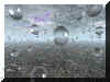 Raindrops.jpg (127865 bytes)