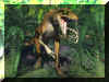 Raptor.jpg (222219 bytes)